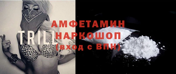 шишки Балахна