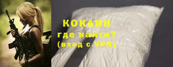 шишки Балахна