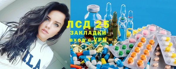 шишки Балахна