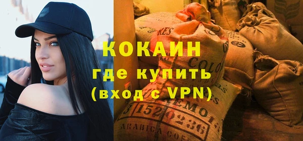 шишки Балахна