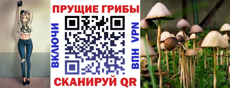blacksprut рабочий сайт  Бугуруслан  Галлюциногенные грибы Psilocybe 